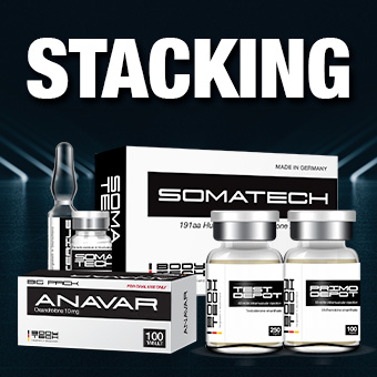 Bodytech, Steroid, anabolic, steroid cycle, beginer steroid 